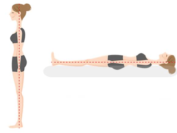 ドルメオ エアースプリング 寝姿勢