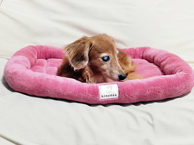 あたたかい犬ベッド　おすすめ　ひな暖ペットベッド　ドッグベッド