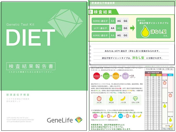GeneLife　ジーンライフ　遺伝子検査　ダイエット　検査報結果告書