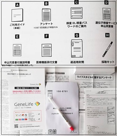 GeneLife　ジーンライフ　遺伝子検査　ダイエット　中身　内容